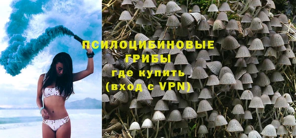 гидра Семёнов