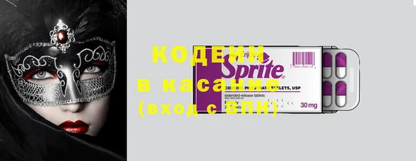 ГАЛЛЮЦИНОГЕННЫЕ ГРИБЫ Алзамай