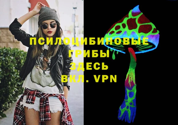 ГАЛЛЮЦИНОГЕННЫЕ ГРИБЫ Алзамай