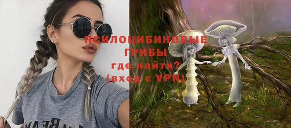 Альфа ПВП Алексин