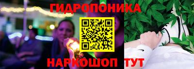 apvp Тара