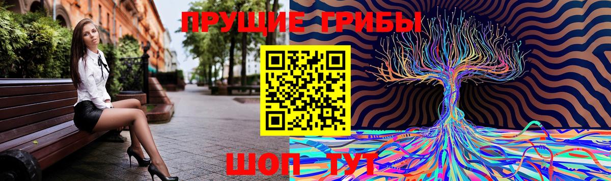 Геленджик  Галлюциногенные грибы прущие грибы  Вход с VPN  Галлюциногенные грибы Psilocybine cubensis 