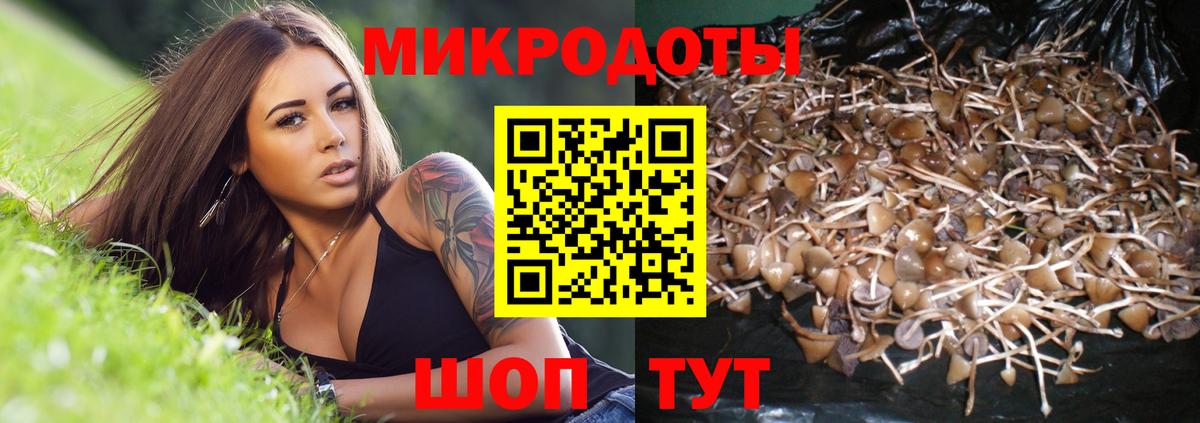 Галлюциногенные грибы MAGIC MUSHROOMS Геленджик