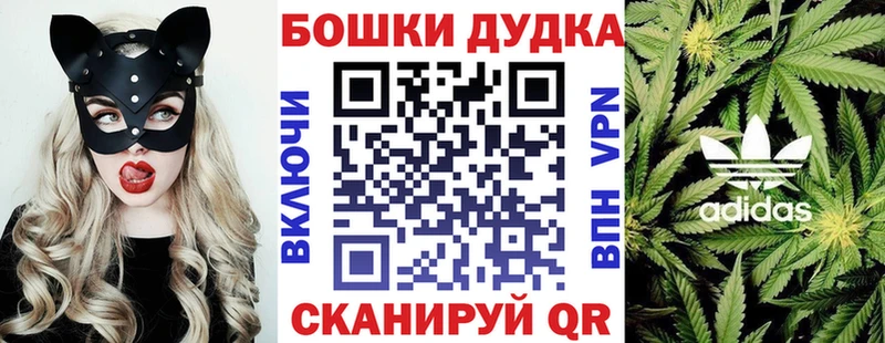 Шишки марихуана OG Kush Геленджик
