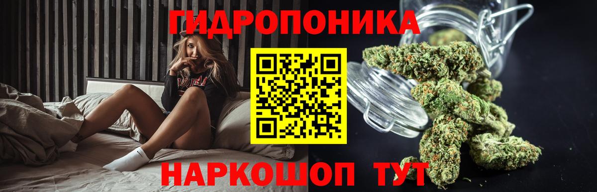 Марихуана конопля  Марихуана план  Вход с VPN  Канабис гибрид  Геленджик 